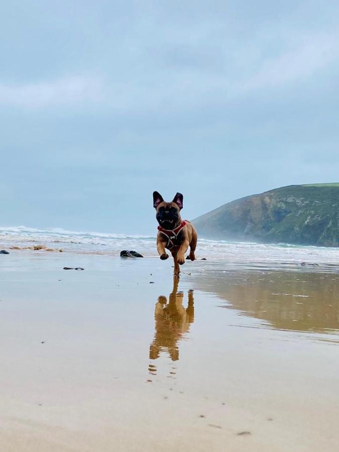 Daphne'S Lodge Mawgan Porth Exteriör bild